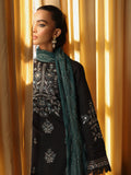 Embroidered Shawl Series 13