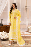 Raj Bari Nissa Chikankari Edit 01