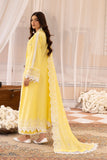 Raj Bari Nissa Chikankari Edit 01