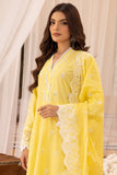Raj Bari Nissa Chikankari Edit 01