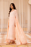 Raj Bari Nissa Chikankari Edit 10