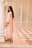 Raj Bari Nissa Chikankari Edit 10