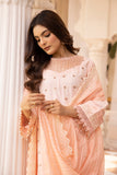 Raj Bari Nissa Chikankari Edit 10