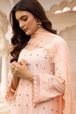 Raj Bari Nissa Chikankari Edit 10