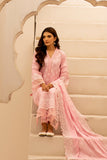 Raj Bari Nissa Chikankari Edit 05