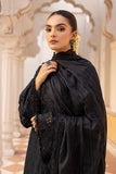 Raj Bari Nissa Chikankari Edit 03