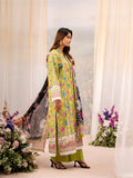 Raha Summer Prints Exclusive-6