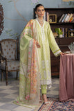 RajBari Chikankari 11