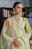 RajBari Chikankari 11
