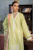 RajBari Chikankari 11