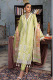 RajBari Chikankari 11