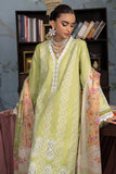 RajBari Chikankari 11