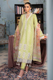 RajBari Chikankari 11