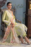 RajBari Chikankari 11