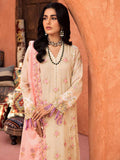 Nissa Winter Vol 02 By Rajbari Stitched '23 D#4B