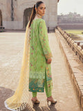 Rajbari Premium Chikankari Autumn/Winter 3-B