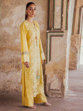 Rajbari Premium Chikankari Autumn/Winter 4-A