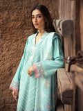 Rajbari Premium Chikankari Stitched 6-B
