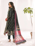 Nissa Lawn by RajBari Vol 1 23' 4B