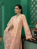 RajBari Chikankari Edit '22 D#03