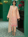 RajBari Chikankari Edit '22 D#03