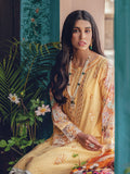 D#3B-RajBari Premium Festive