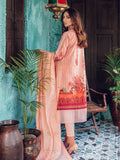 D#6A-RajBari Premium Festive