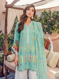 D#6B-RajBari Premium Festive